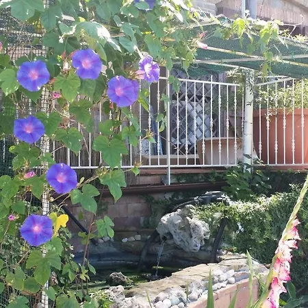 L'irisandro Bed & Breakfast
