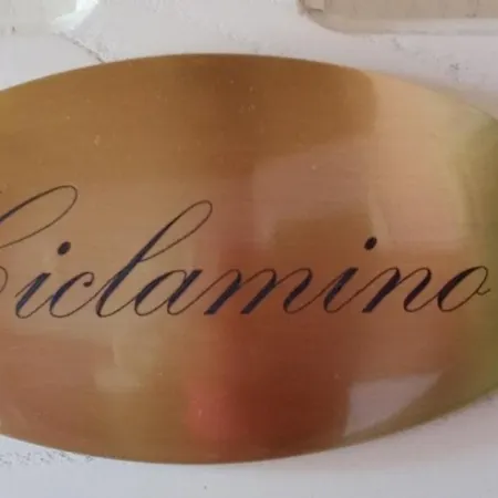 L'irisandro Bed & Breakfast Castellabate